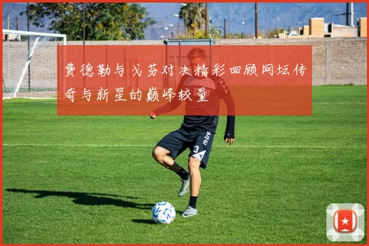 费德勒与戈芬对决精彩回顾网坛传奇与新星的巅峰较量