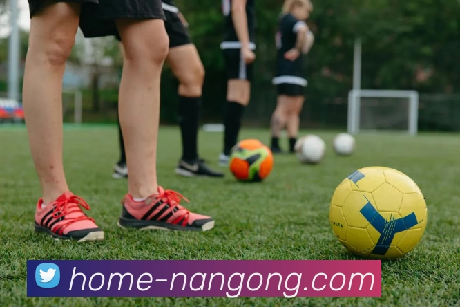 NG体育服务体系